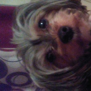 Meet your Posher, Vaness